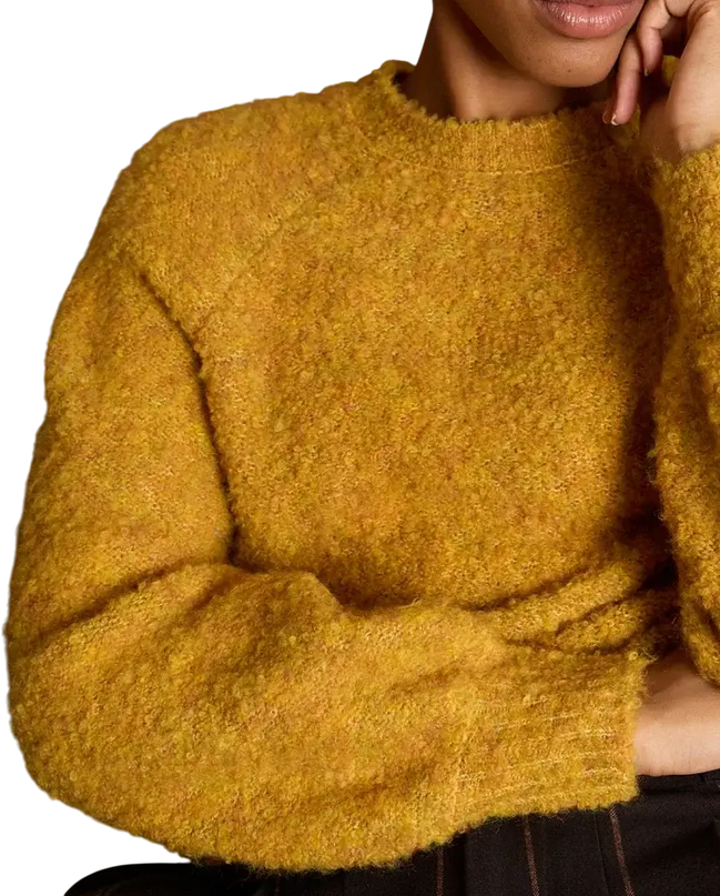 SURKANA Izel mustard