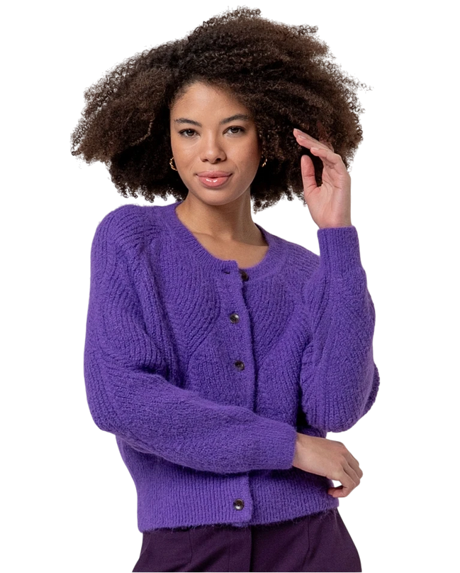 Surkana Round-neck cardigan with cable knit , purple