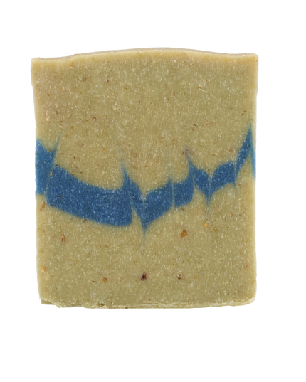 DOGS DAY BEACH SOAPBAR