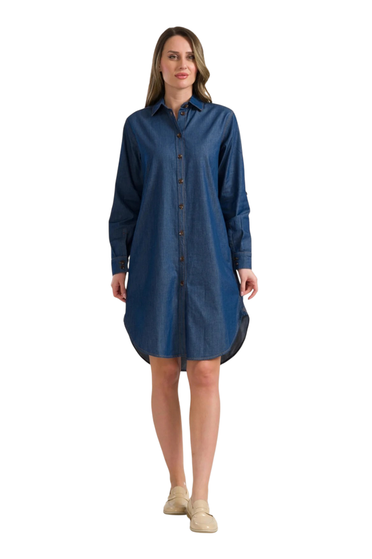 jane Shirt Dress
