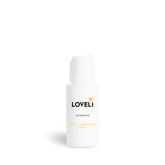 Shampoo Dry & Damaged hair