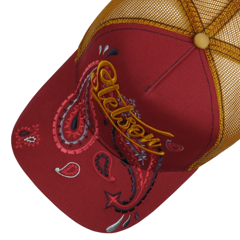 STETSON paisley