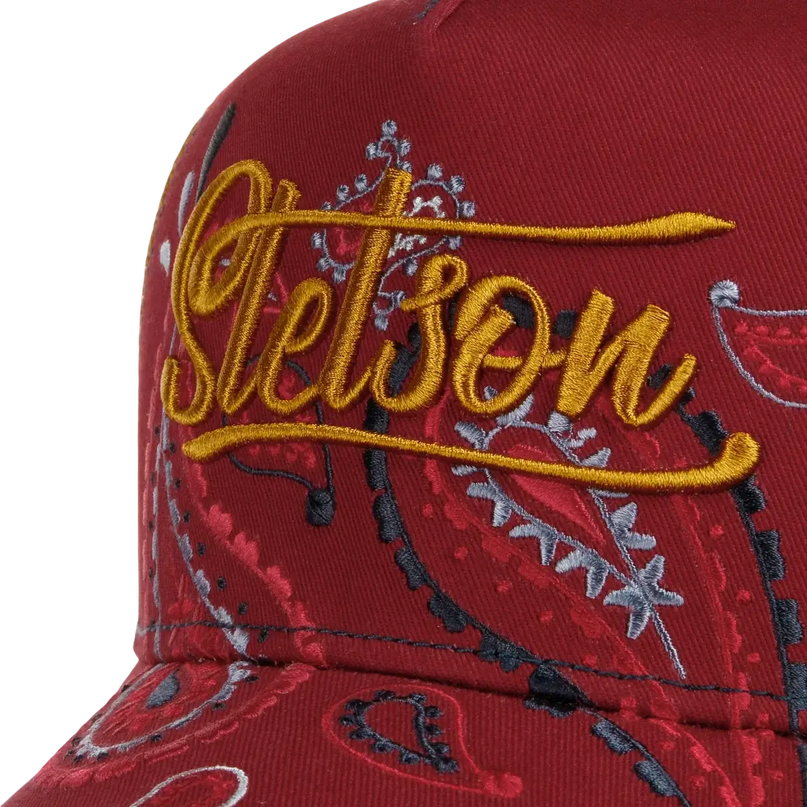 STETSON paisley
