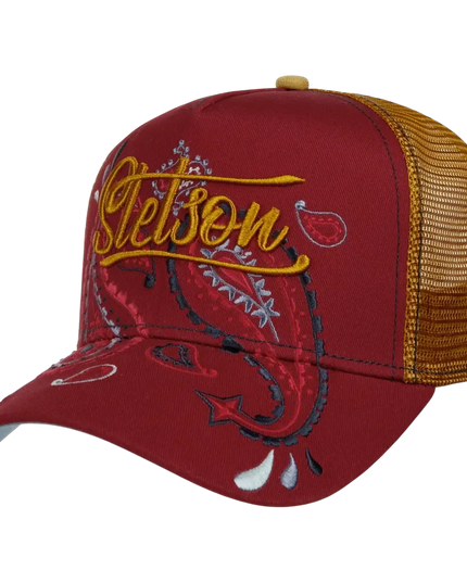 STETSON cachemire