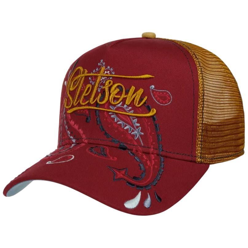 STETSON paisley