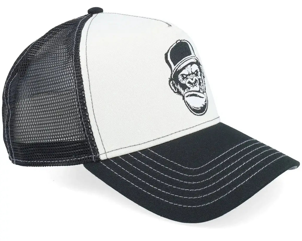 STETSON Ape by JJ Hats