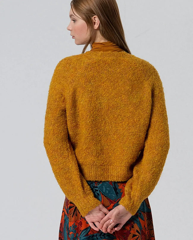 SURKANA Izel mustard