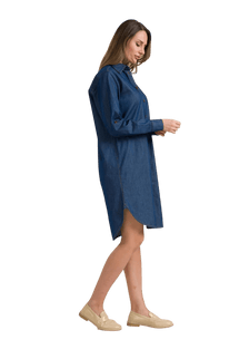 jane Shirt Dress