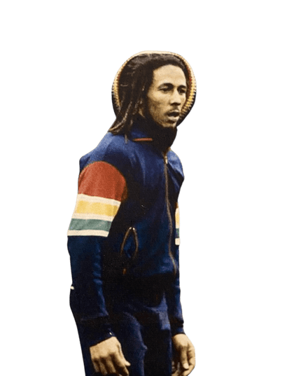 TROJAN Marley Stripe Sleeve Track Top