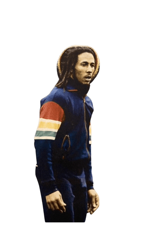 Marley Stripe Sleeve Track Top