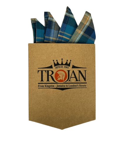 TROJAN blusa jade a cuadros multicolor con cuello abotonado