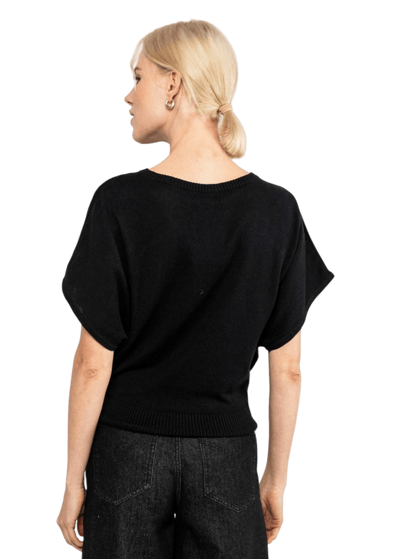 PICNIC FRIEND, ELEGANT LADY IN BLACK