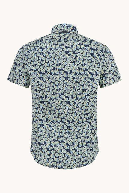 A FISH NAMED FRED Shirt SS paint palettes
