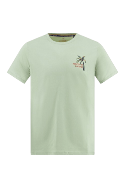 A FISH NAMED FRED T-shirt palm painting green