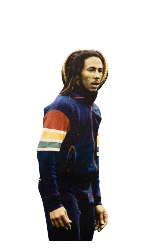 Marley Stripe Sleeve Track Top